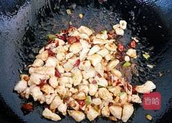 宫保鸡丁的做法图解8