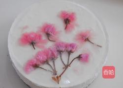 樱花慕斯蛋糕(6寸)的做法图解11