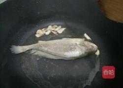番茄焖鱼的做法图解4