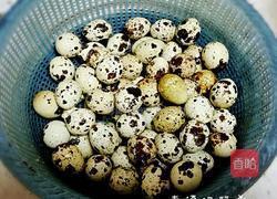 养生壶五香茶叶鹌鹑蛋的做法图解1
