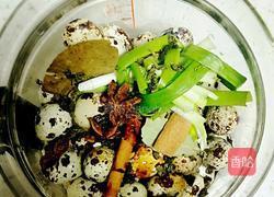 养生壶五香茶叶鹌鹑蛋的做法图解4