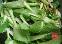 小白菜炒香菇的做法图解6