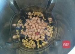 黑豆黄豆米糊的做法图解3