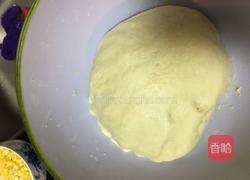 墨鱼丸披萨的做法图解1