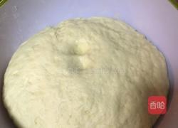 墨鱼丸披萨的做法图解2