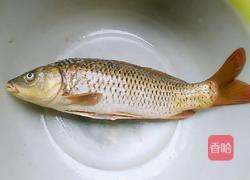 糖醋脆皮鲤鱼的做法图解1