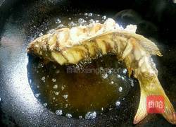 糖醋脆皮鲤鱼的做法图解9