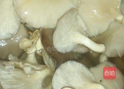 炸蘑菇的做法图解1