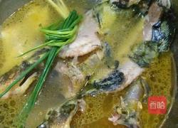 酸汤鱼豆腐的做法图解3
