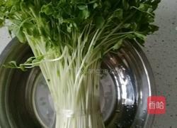 暖胃海鲜豌豆苗馄饨的做法图解2