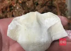 Illustration of how to make mutton and green onion dumplings 11