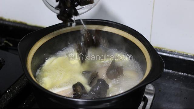 过20分钟后再倒入黑木耳，最后再炖10分钟就可以了