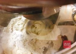 青菜猪肉煎饺的做法图解3