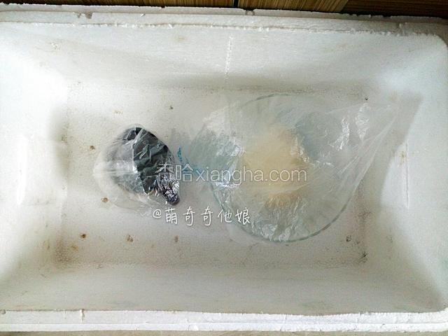 现在是冬天，室温只有13度，可以放泡沫箱里，旁边放一碗热水进行发酵。