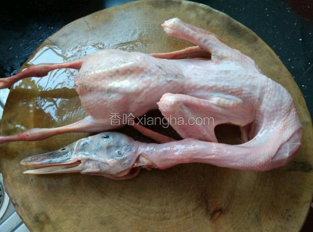 鸭子宰杀干净。