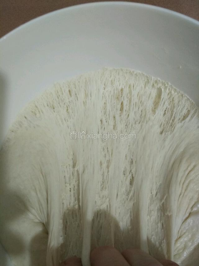 面团发酵好用手扒开里面全是网状就表示发酵好了