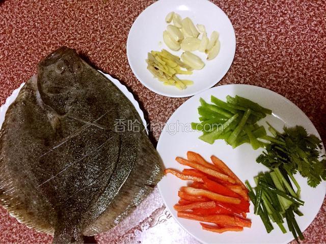 多宝鱼处理好用盐腌制备用，红尖椒、青尖椒切成条状，葱、香菜切段，姜切丝、蒜拍扁备用