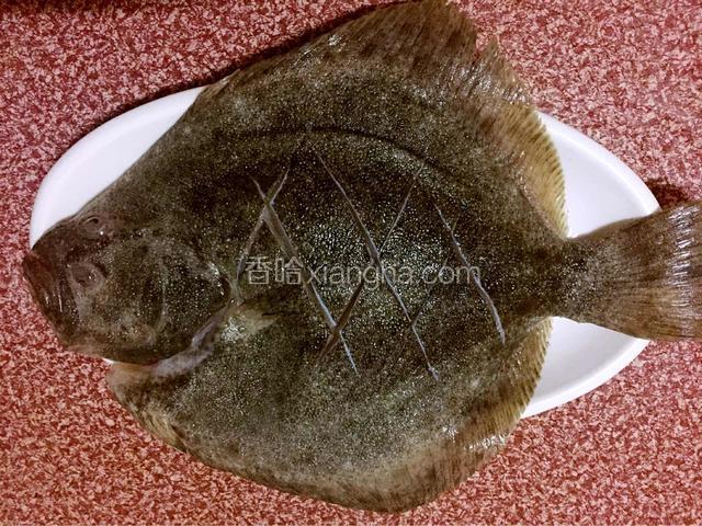 然后把多宝鱼放上去