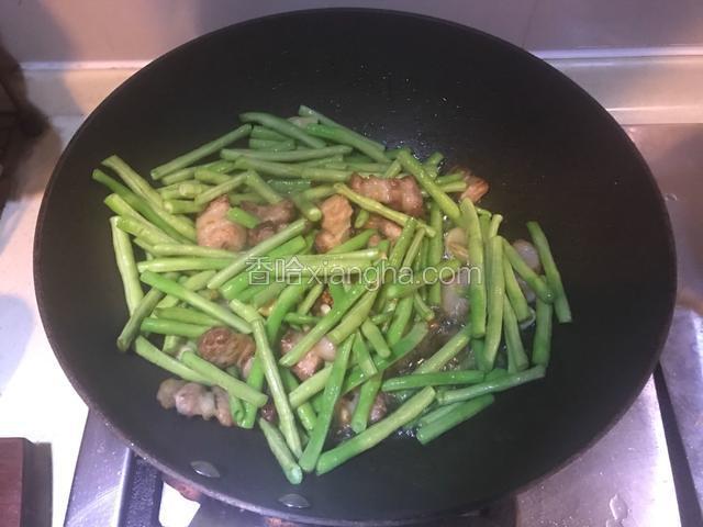 投入豆角君！~