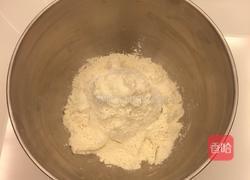 椰蓉小面包的做法图解7