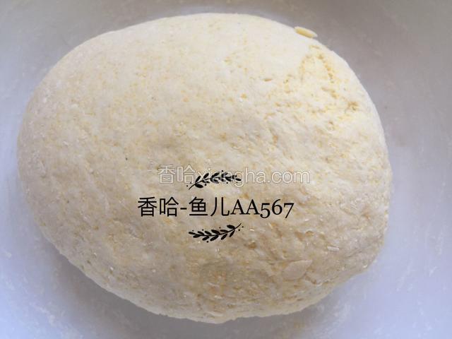 揉成面团，进行第一次发酵。