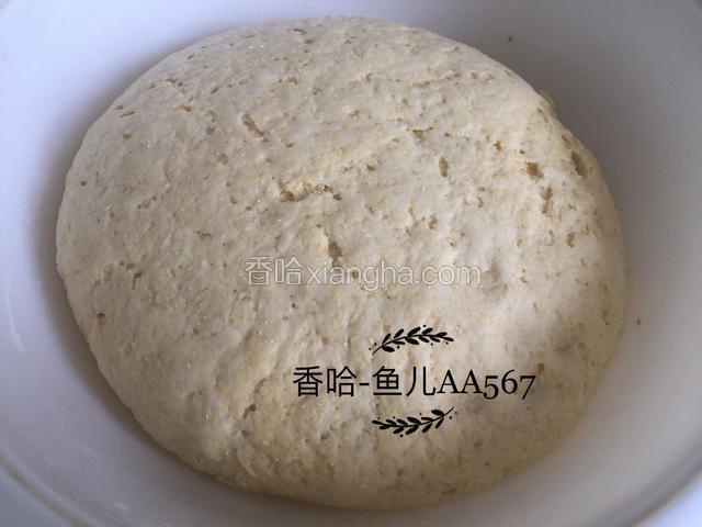 大约三十分钟发酵完成。