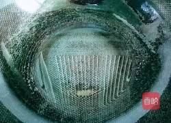 大烩菜的做法图解5