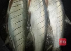 红烧习子鱼的做法图解4