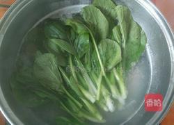 自制瘦肉青菜汤面的做法图解7