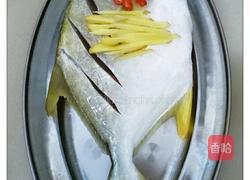 焖鲳鱼的做法图解1