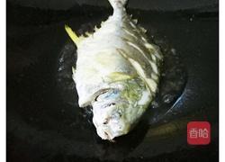 焖鲳鱼的做法图解2