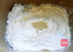 双色吐司的做法图解2