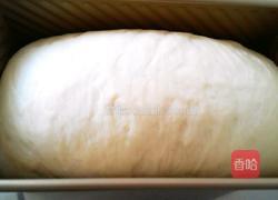 双色吐司的做法图解12