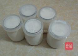 巧克力酸奶的做法图解9