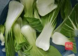 映日荷花油菜的做法图解2