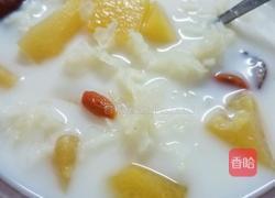 木瓜雪耳牛奶炖的做法图解3