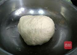 西葫芦鸡蛋水饺的做法图解4