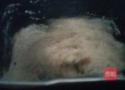红枣全麦欧包的做法图解3