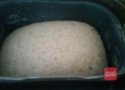 红枣全麦欧包的做法图解6