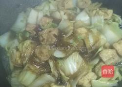 白菜粉条豆腐泡的做法图解5