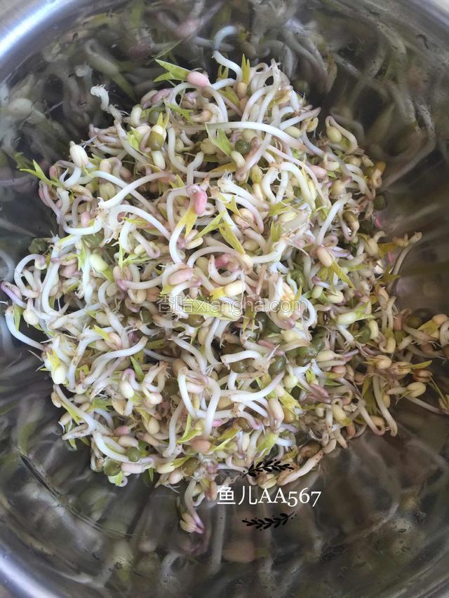 自己生的绿豆芽洗净。