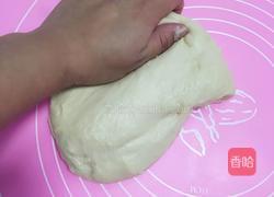 椰蓉面包的做法图解9
