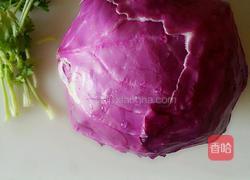 炝拌紫甘蓝的做法图解1