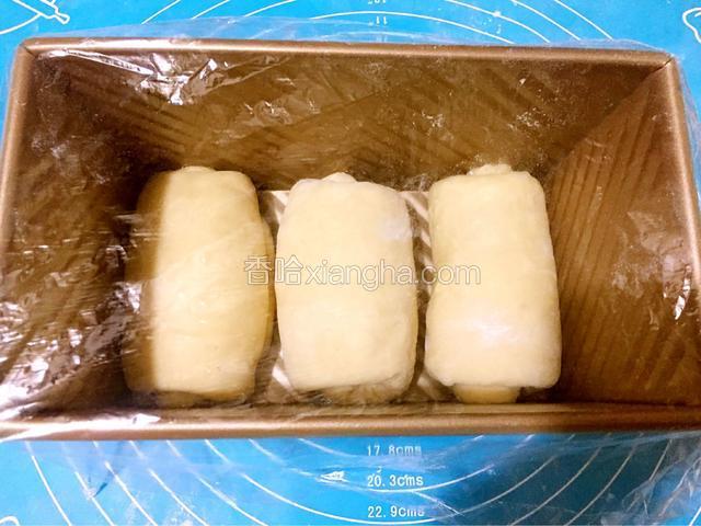 依次做好其它的面团，放进模具中，盖上保鲜膜放温暖处发酵九分满