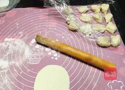 青菜猪肉煎饺的做法图解5