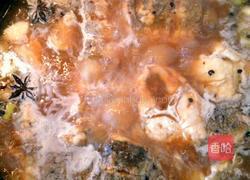 红烧鳕鱼顿白萝卜的做法图解13