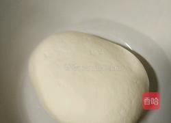 素饺子的做法图解1