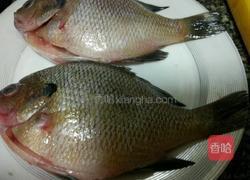 清蒸太阳鱼的做法图解1