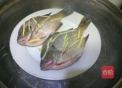 清蒸太阳鱼的做法图解3