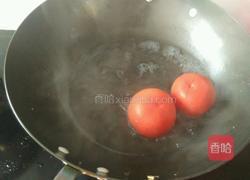 牛腩炖西红柿的做法图解15